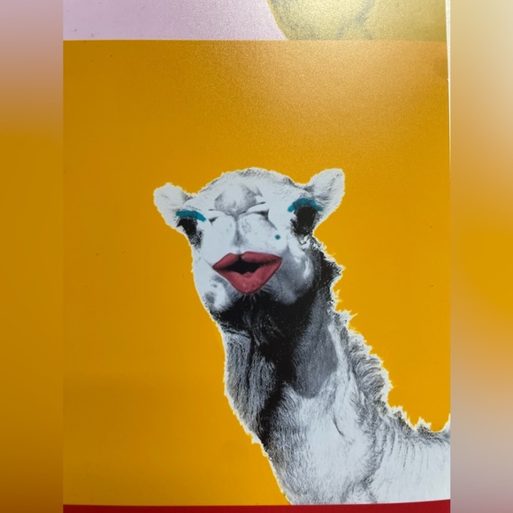 Colourful Camel 🐪 Print - Picture 4 of 9
